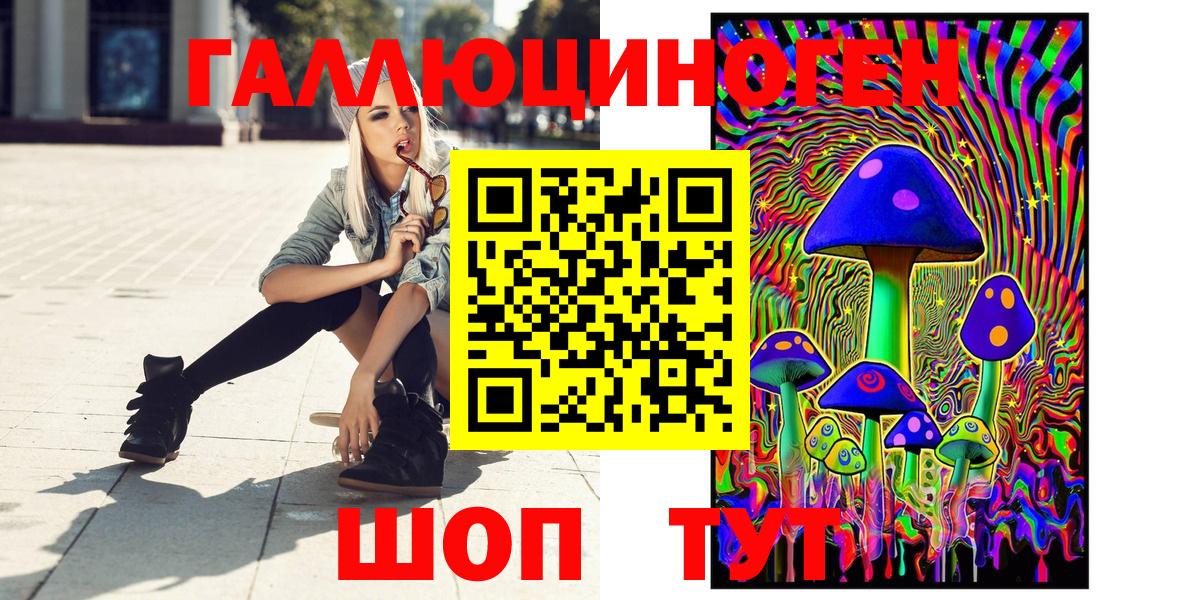 Псилоцибиновые грибы Cubensis Реутов